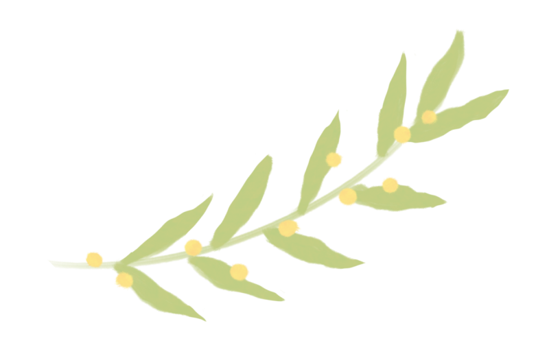 南京秋糖的展商夏天在忙啥？- 意大利白葡清爽登场